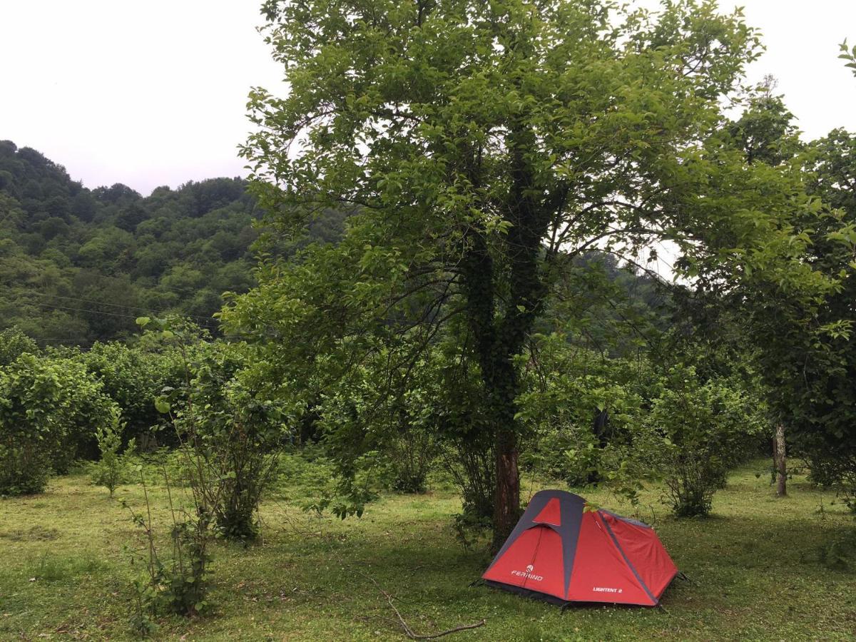 Dumbo Eco Camp Hotel Ozurget'i Екстериор снимка
