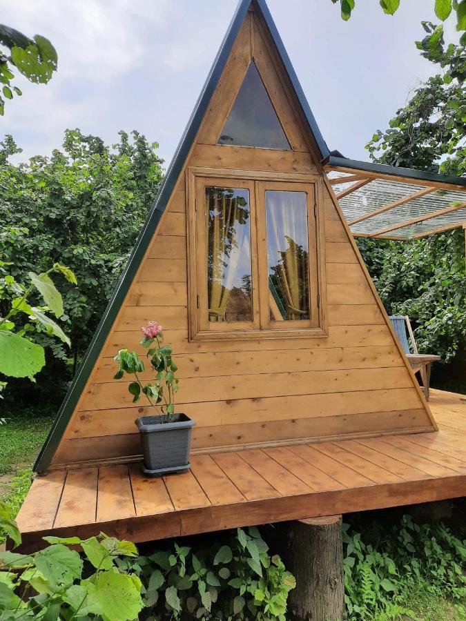 Dumbo Eco Camp Hotel Ozurget'i Екстериор снимка