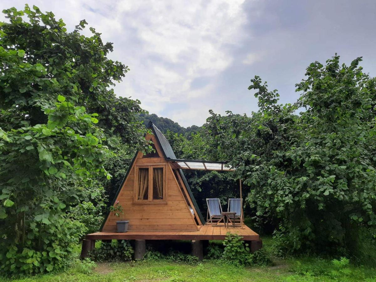 Dumbo Eco Camp Hotel Ozurget'i Екстериор снимка