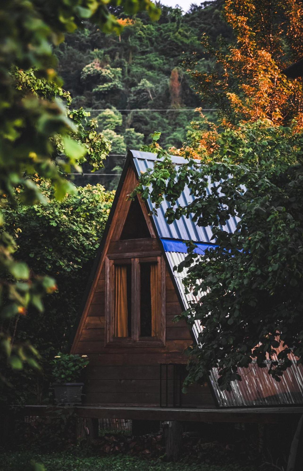 Dumbo Eco Camp Hotel Ozurget'i Екстериор снимка